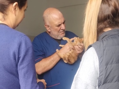 Berisso: Se realizaron 200 atenciones de mascotas en una nueva jornada veterinaria