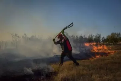 Mar del Plata: Piden extremar medidas para evitar incendios forestales