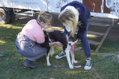 Mercedes: El Municipio continúa con la campaña de vacunación y castración de mascotas