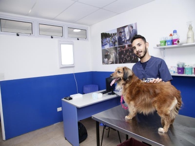Lomas de Zamora: En el último año se castraron más de 12 animales en el Hospital de Mascotas