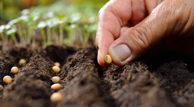 La Costa: Continúa la entrega de semillas del Programa “Huerta en Casa”