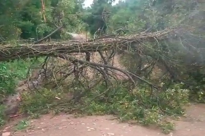Tandil: La tormenta dejó calles anegadas y postes caídos