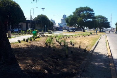 Necochea: Finalizó la forestación de la nueva plaza del Barrio Puerto