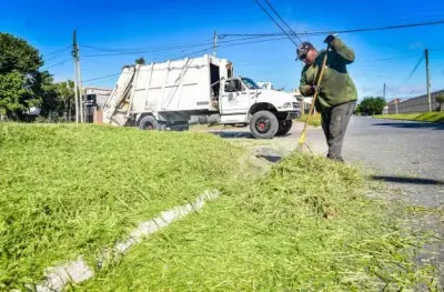 Mar del Plata: En enero se retiraron más de 2200 toneladas de residuos de microbasurales