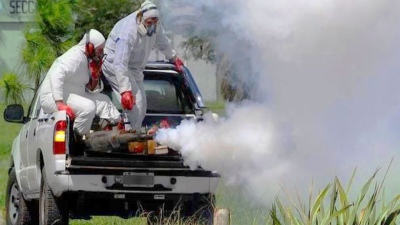 Tandil: Detectaron el primer caso autóctono de dengue en la ciudad