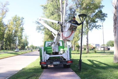 Ensenada: Realizaron tareas de mantenimiento de luminarias en espacios públicos