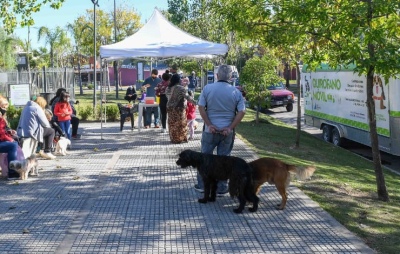 San Fernando: El municipio celebra el Día del Animal con varias propuestas y actividades