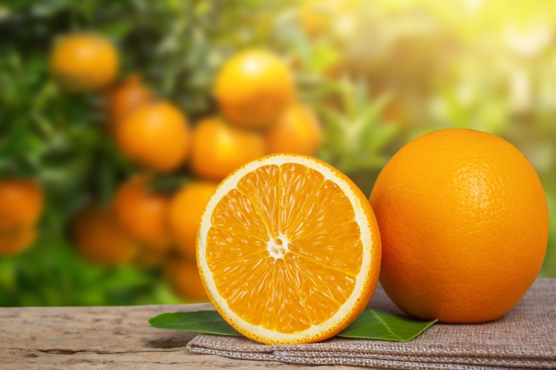 La Plata: El Banco Alimentario realizará mermeladas con el fruto de los naranjos de la vía pública
