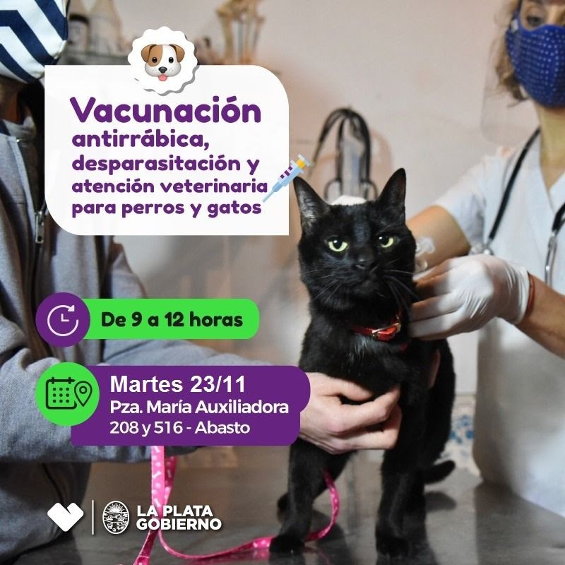 La Plata: Llega a Abasto el consultorio veterinario móvil de la Municipalidad