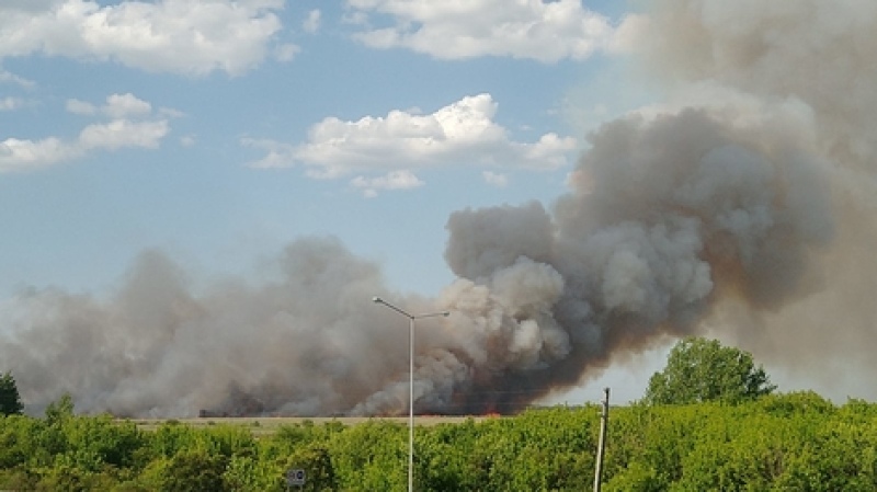 Campana: Brigadistas intentan apagar un incendio en el parque nacional