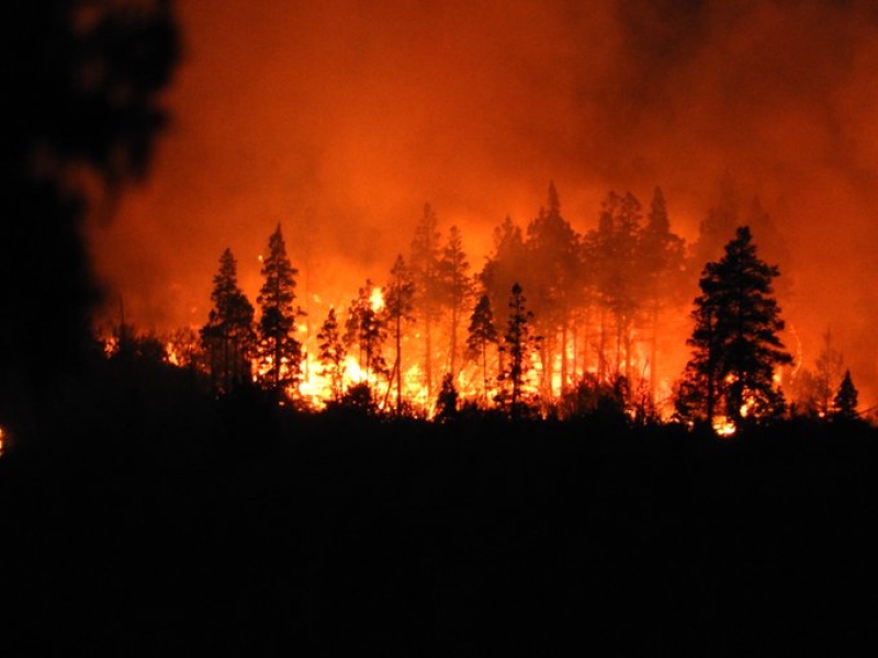 Chubut: El incendio en el cerro Currumahuida "está activo en todo su perímetro"