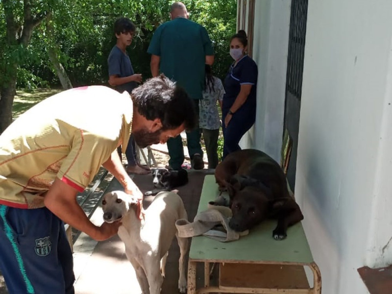 Berisso: Vacunación antirrábica y castración en la Isla Paulino
