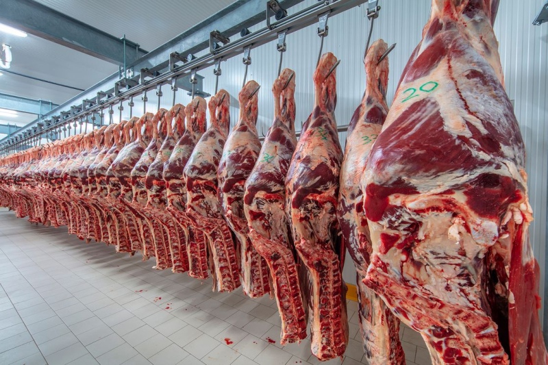 El Gobierno prohibió por dos años la exportación de siete cortes de carne