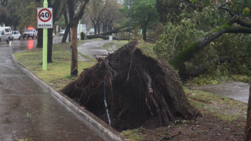 Bahía Blanca: Tras el temporal suspenden las clases y evacúan a 100 personas