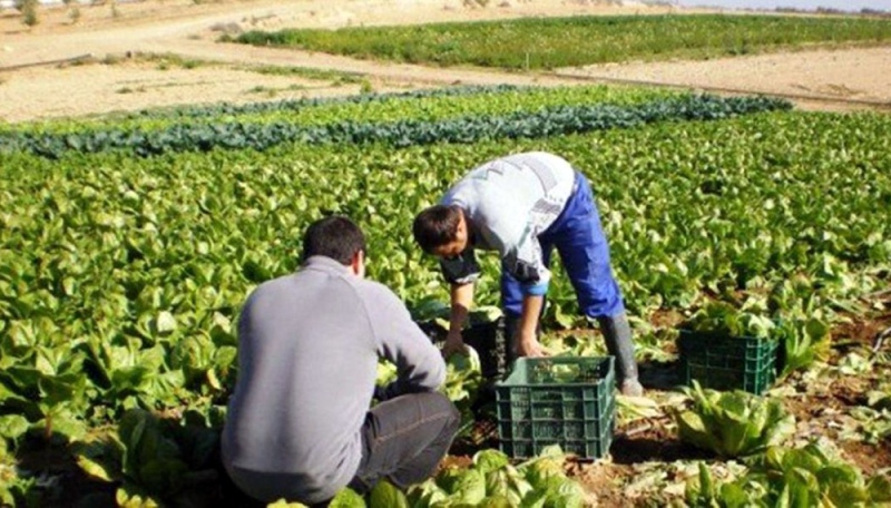 El Gobierno bonaerense da subsidios de hasta cinco millones de pesos para agricultura  familiar