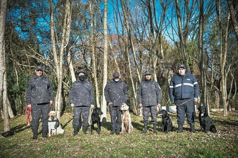 Escobar: Suman seis perros para fortalecer a la División Canina