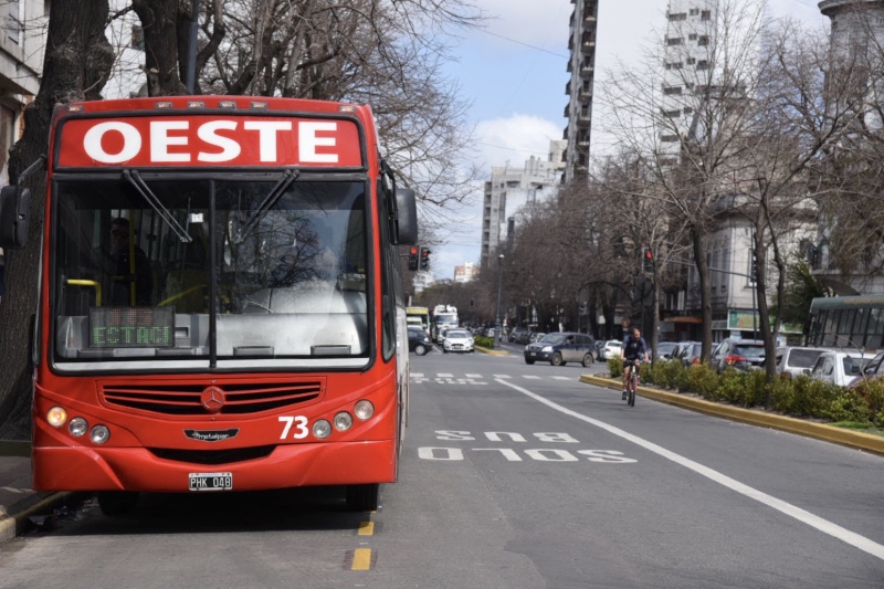 La Plata: Se realizará una prueba piloto de carriles exclusivos para colectivos en Avenida 7