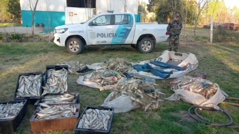 Trenque Lauquen: Decomisan más 500 kilos de pejerrey en un operativo contra la pesca furtiva