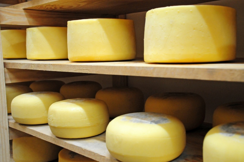 Tandil: El cluster pone en resguardo quesos para los festejos de los 200 años de la ciudad