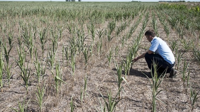 El gobierno brindará ayuda a pequeños productores castigados por la sequía