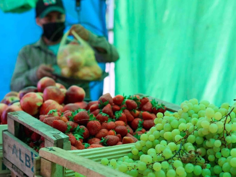 Berisso: Vuelve a la ciudad el programa "Mercados Bonaerenses"