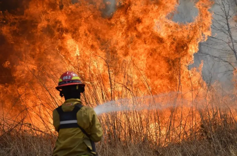 Villa Gesell: Presentarán la "Campaña de Prevención de Incendios Forestales"