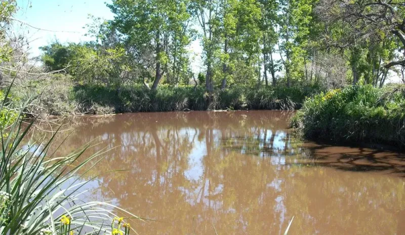 La Plata: Polémica por los loteos en el humedal del Arroyo El Pescado