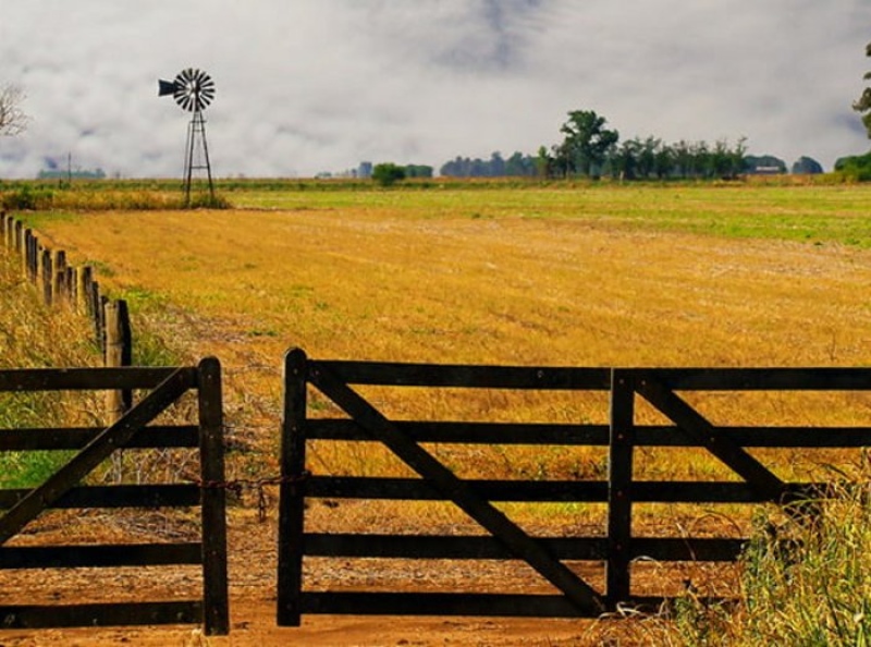 Arba extiende el plazo de pago del Inmobiliario Rural en campos afectados por la sequía