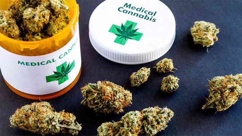 Ministerio de Salud amplió a tres años la autorización para cultivo del cannabis terapéutico