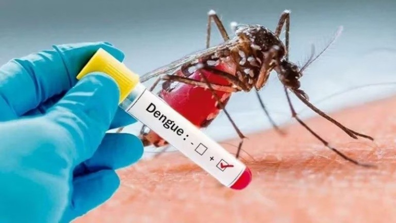 La Provincia reitera recomendaciones ante síntomas de dengue y fiebre chikungunya
