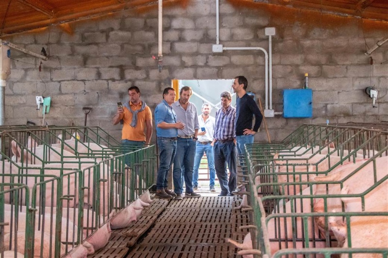 Junín: Petrecca anunció beneficios fiscales para acompañar al sector productivo porcino