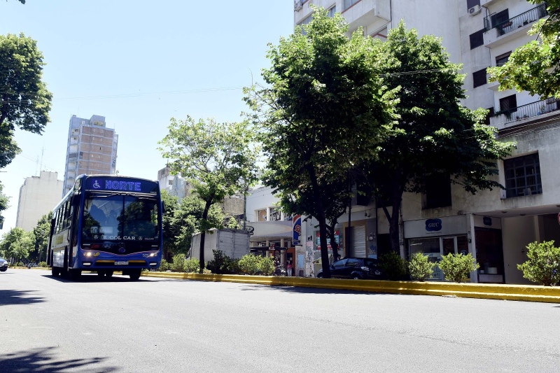 La Plata: El transporte público funcionará de manera gratuita durante las PASO