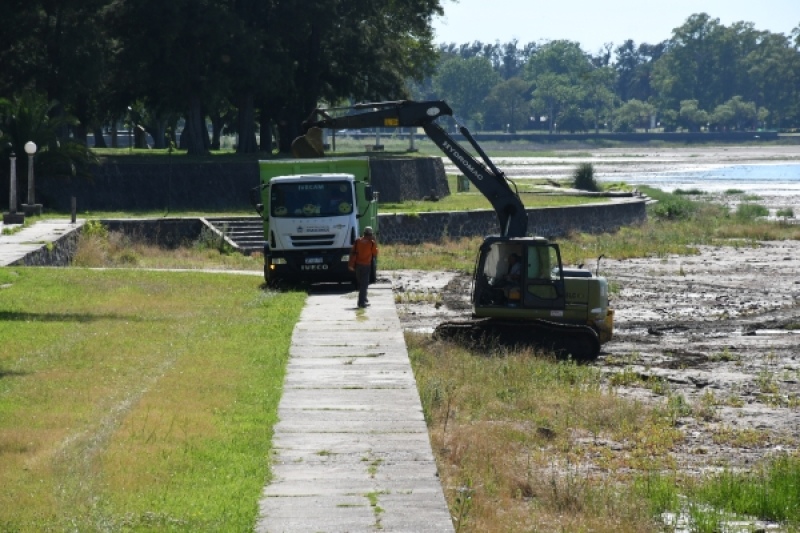 Chascomús: La Municipalidad refuerza las tareas de limpieza en la laguna