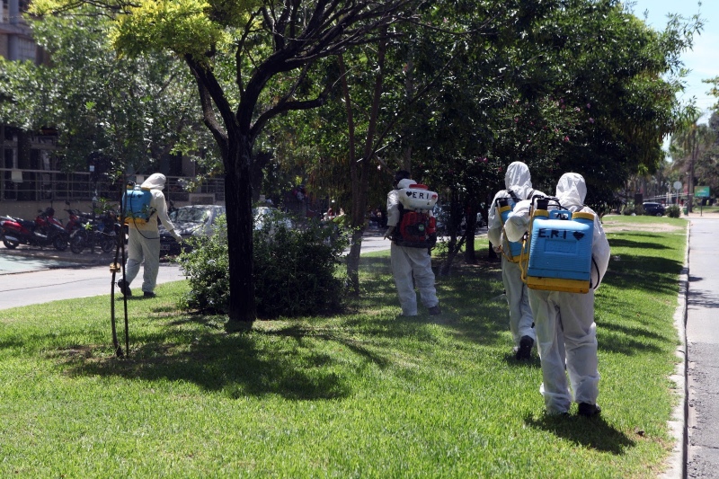 La Plata: Declaran el brote de dengue en la ciudad